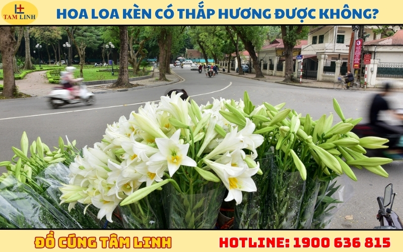 hoa-loa-ken-co-thap-huong-duoc-khong