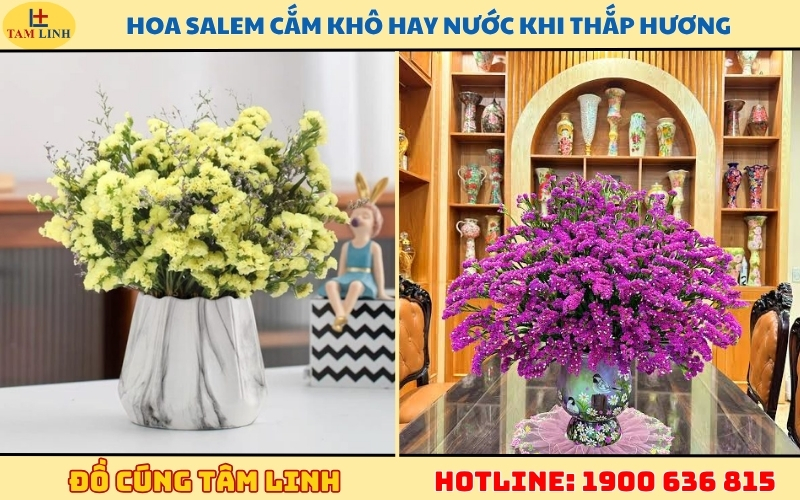 hoa-salem-cam-kho-hay-nuoc-khi-thap-huong