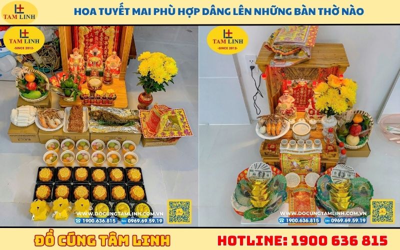 Hoa tuyết mai phù hợp dâng lên những bàn thờ nào trong nhà?