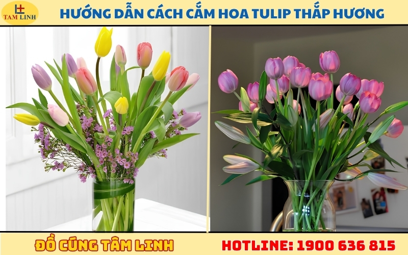huong-dan-cach-cam-hoa-tulip-thap-huong