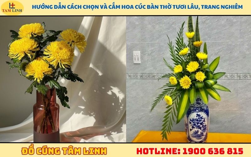 Hướng dẫn cách chọn và cắm hoa cúc bàn thờ tươi lâu, trang nghiêm