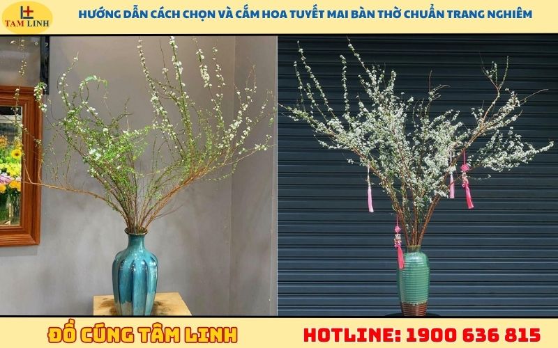 Hướng dẫn cách chọn và cắm hoa tuyết mai bàn thờ chuẩn trang nghiêm
