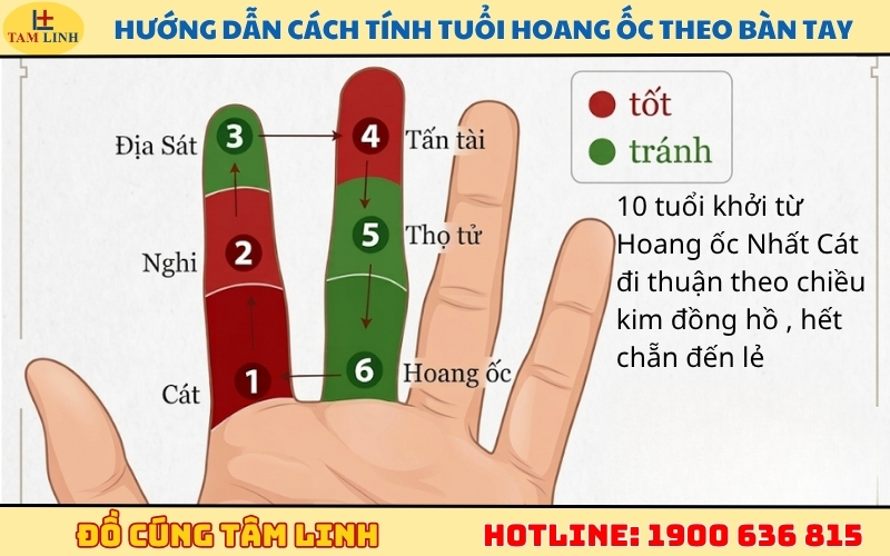 huong-dan-cach-tinh-tuoi-hoang-oc-theo-ban