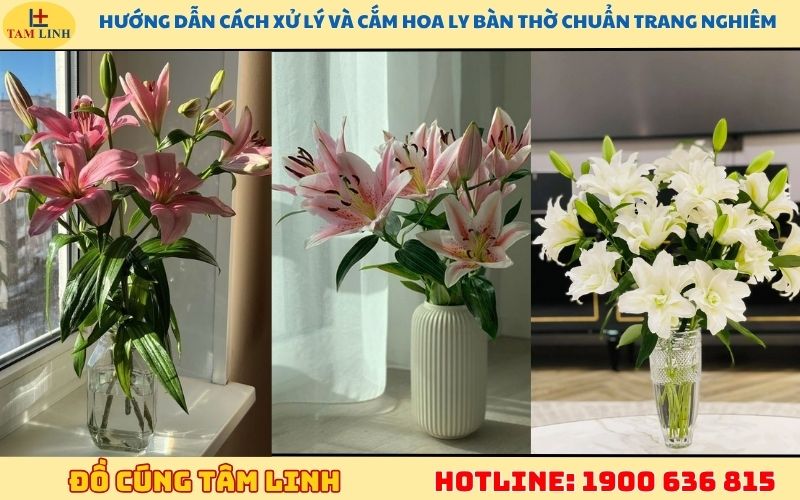 Hướng dẫn cách xử lý và cắm hoa ly bàn thờ trang nghiêm