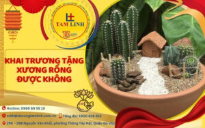 khai truong tang xuong rong duoc khong