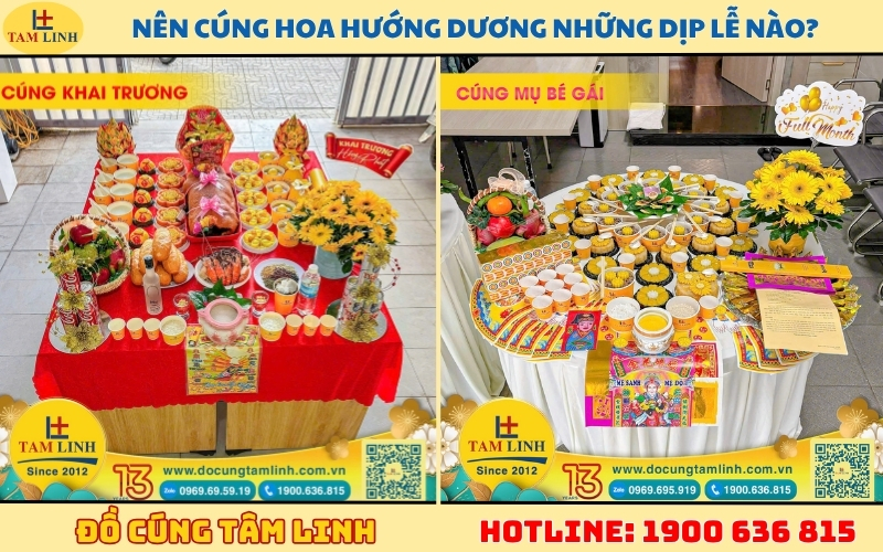 nen-cung-hoa-huong-duong-nhung-dip-le-nao