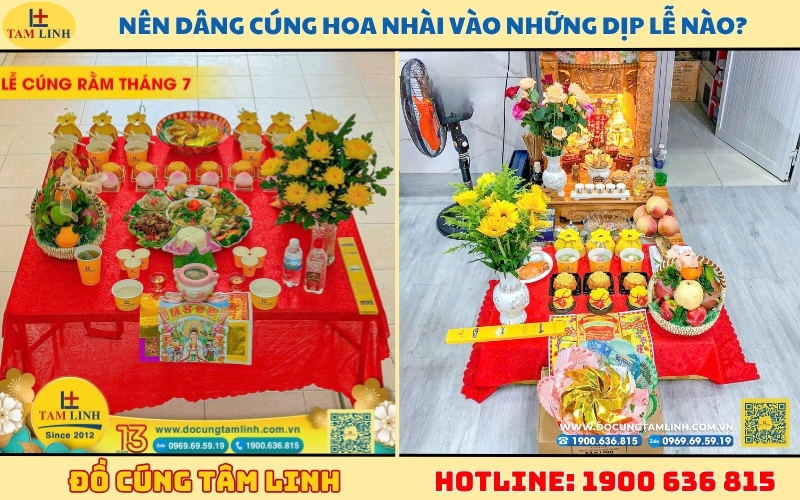 nen-dang-cung-hoa-nhai-vao-nhung-dip-le-nao