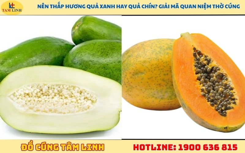 nên thắp hương quả xanh hay quả chín