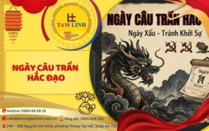 Câu trần hắc đạo là gì