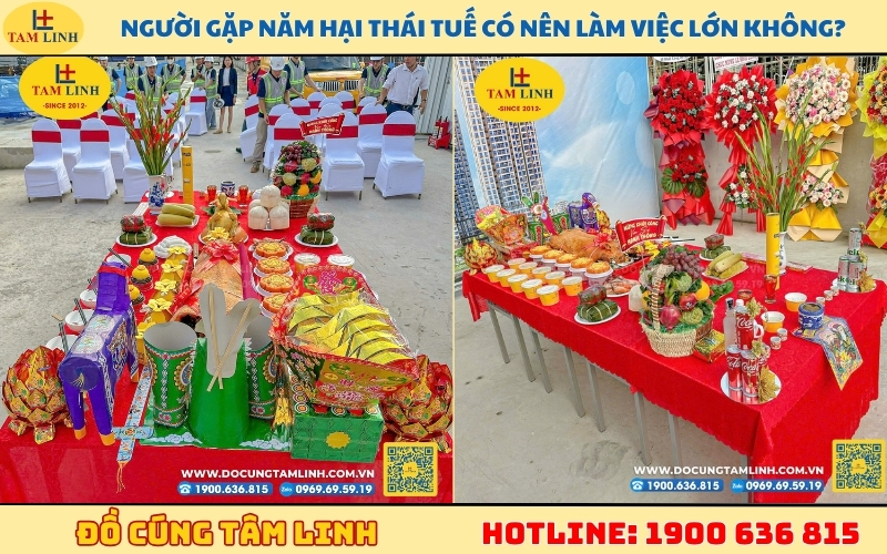 nguoi-gap-nam-hai-thai-tue-co-nen-lam-viec-lon-khong
