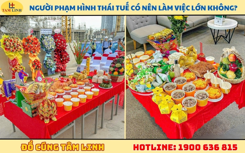 nguoi-pham-hinh-thai-tue-co-nen-lam-viec-lon-khong