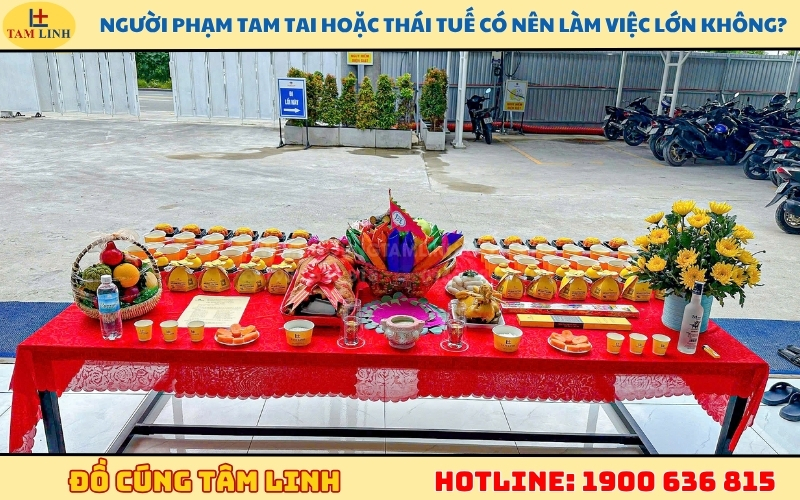 nguoi-pham-tam-tai-hoac-thai-tue-co-nen-lam-viec-lon-khong