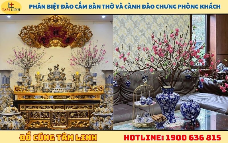 Phân biệt đào cắm bàn thờ và cành đào chưng phòng khách