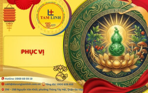 phuc vi la gi 1