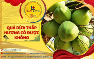 quả dừa thắp hương có được không