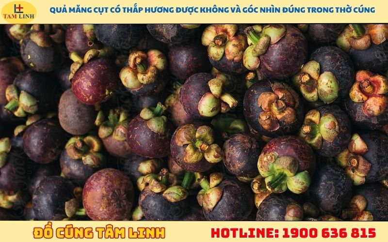 Quả măng cụt có thắp hương được không và góc nhìn đúng trong thờ cúng