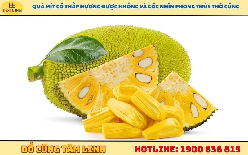 Quả mít có thắp hương được không và góc nhìn phong thủy thờ cúng