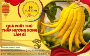 Quả phật thủ thắp hương xong làm gì