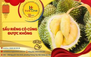 Sầu riêng có cúng được không?