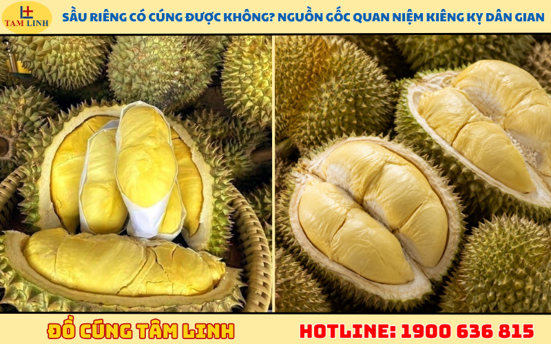 Sầu riêng có cúng được không_ Nguồn gốc quan niệm kiêng kỵ dân gian