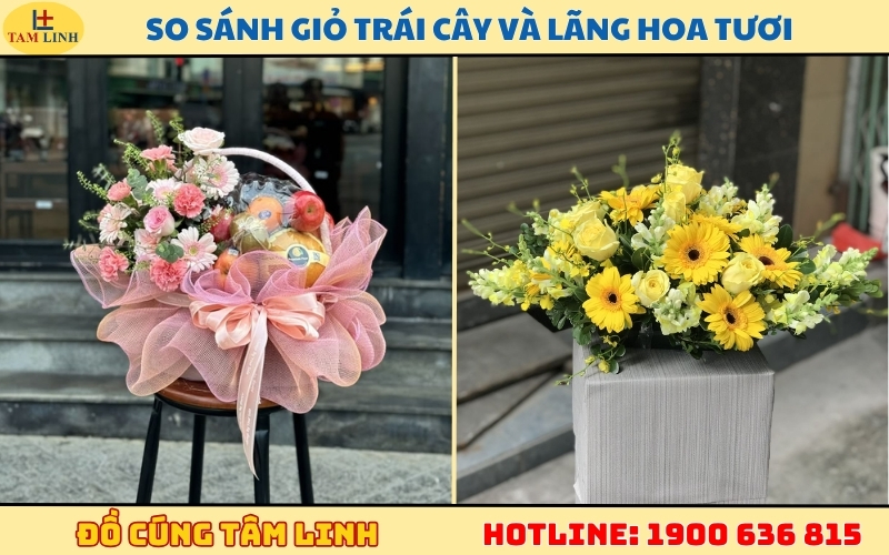 so sanh gio trai cay va lang hoa tuoi