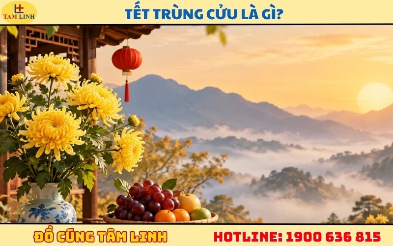 tet trung cuu la gi nguon goc va ban chat ngay song cuu