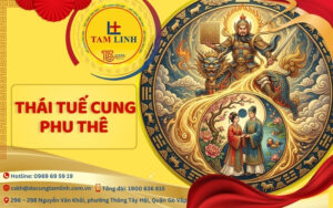 thái tuế cung phu thê