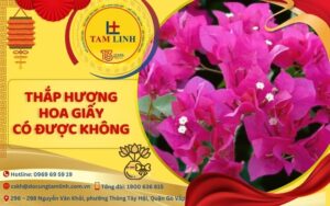hoa giấy có thắp hương được không