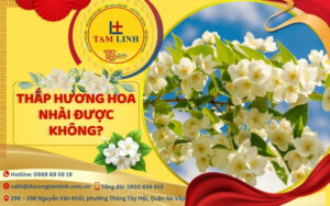 thắp hương hoa nhài được không