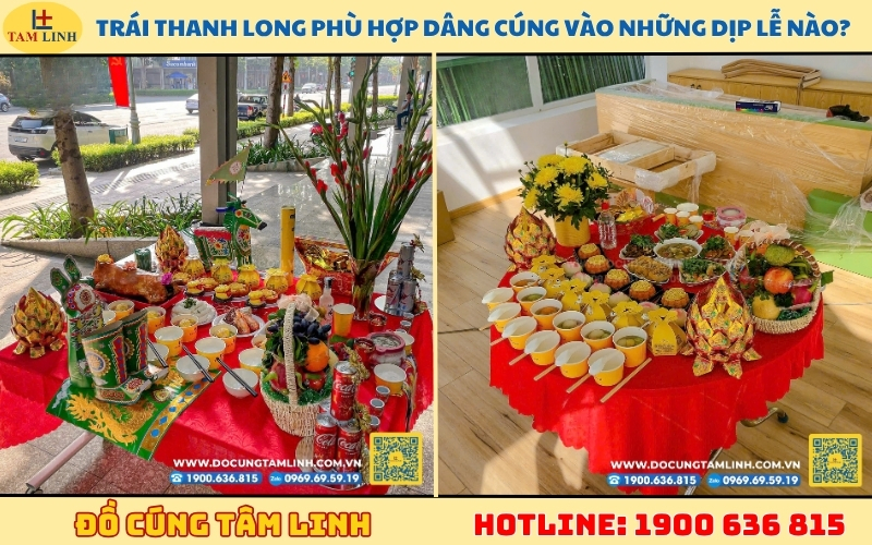 trai-thanh-long-phu-hop-dang-cung-vao-nhung-dip-le-nao
