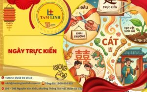 Trực kiến là gì
