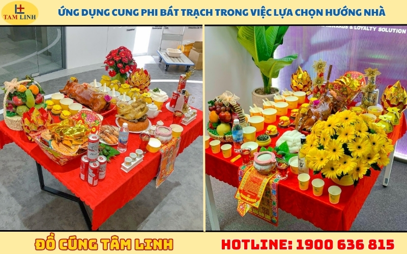 ung-dung-cung-phi-bat-trach-trong-viec-lua-chon-huong-nha