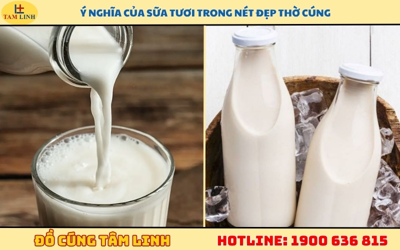 y nghia cua sua tuoi trong net dep tho cung