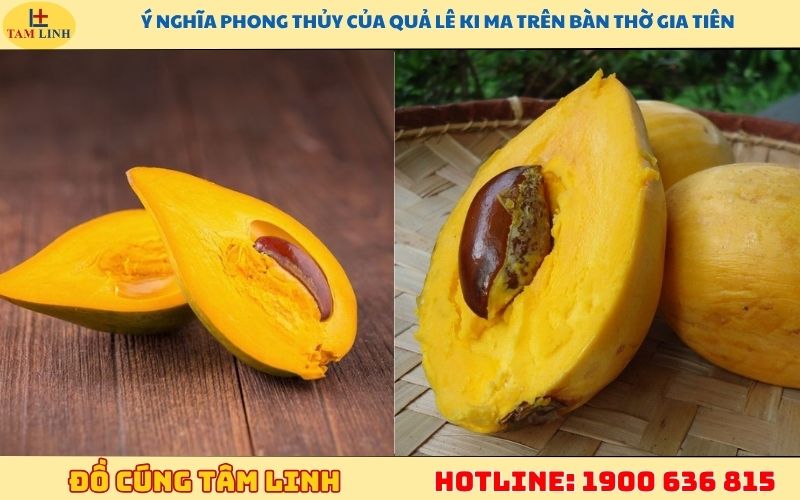 Ý nghĩa phong thủy của quả lê ki ma trên bàn thờ gia tiên