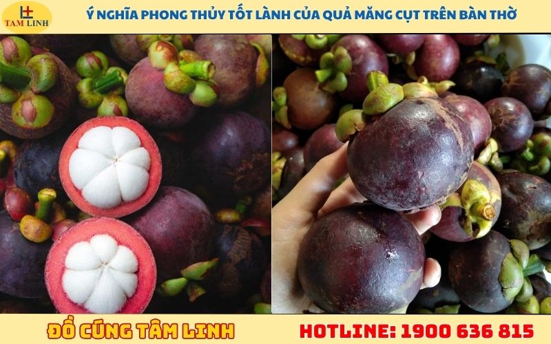 Ý nghĩa phong thủy tốt lành của quả măng cụt trên bàn thờ