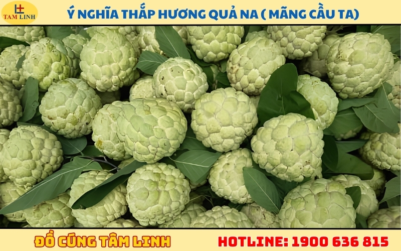 y-nghia-thap-huong-qua-na-mang-cau-ta