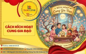 cách kích hoạt cung gia đạo