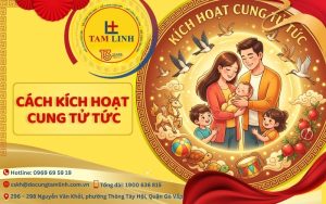 cách kích hoạt cung tử tức