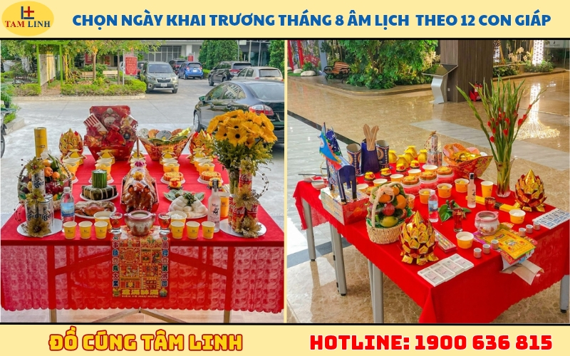 chon-ngay-khai-truong-thang-8-am-lich-theo-12-con-giap