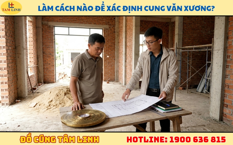 lam-cach-nao-de-xac-dinh-cung-van-xuong