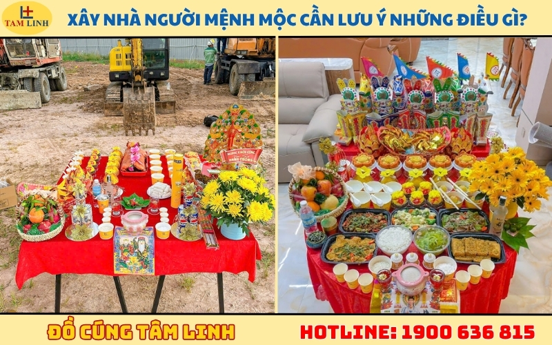 xây nhà mệnh mộc cần lưu ý những gì