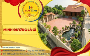 minh tường là gì