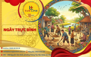 ngày trực bình