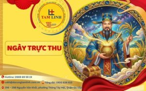 ngày trực thu