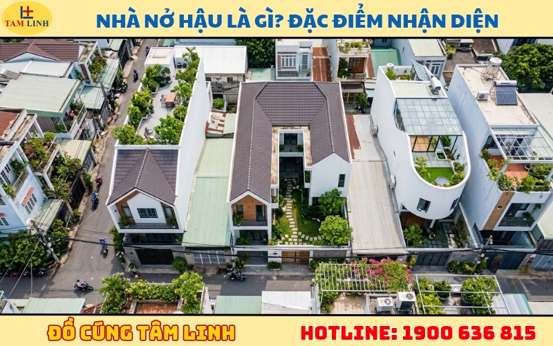 nha-no-hau-la-gi-dac-diem-nhan-dien