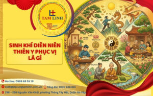 sinh khí diên niên thiên y phục vị là gì