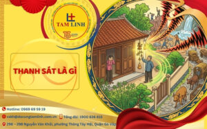 thanh sát là gì
