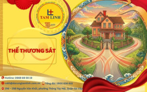 thế thương sát