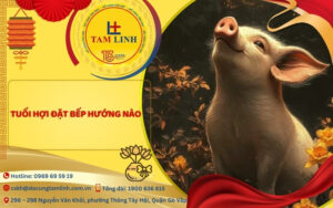 tuoi hoi dat bep huong nao