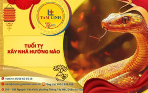 tuoi ty xay nha huong nao